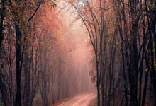 女子举重比赛中的硬仗，谁将屹立不倒？